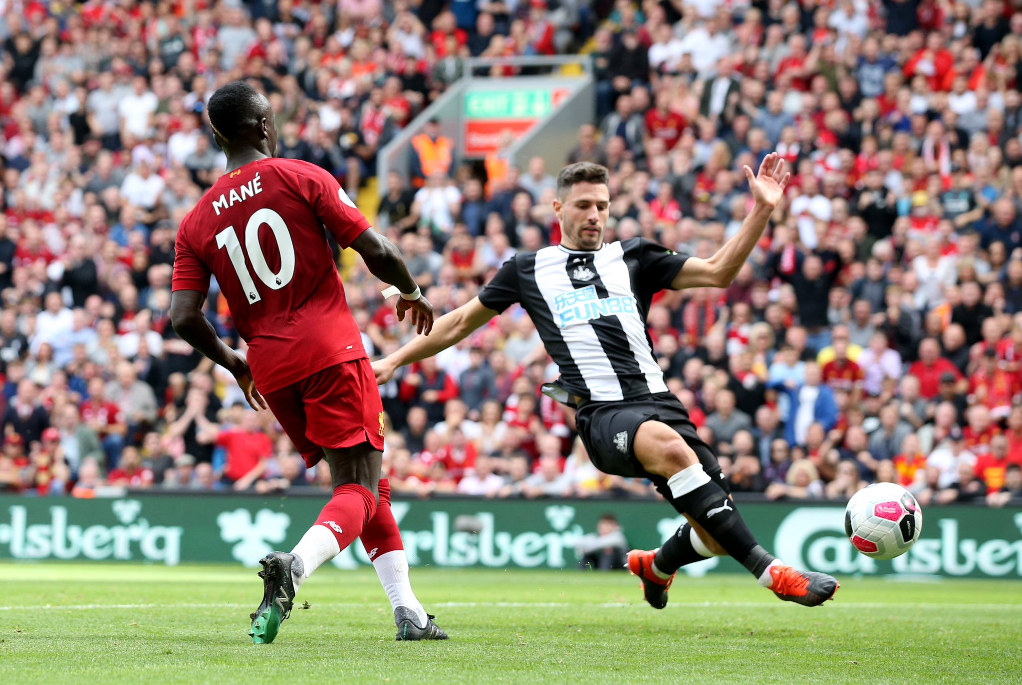 了孙颖莎的 了孙颖莎的